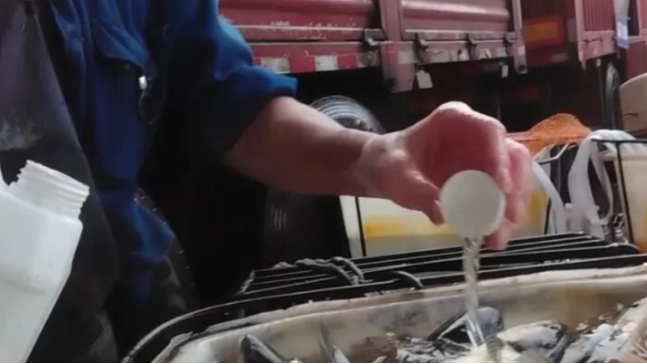 “活鱼被人为麻醉”，央视曝光