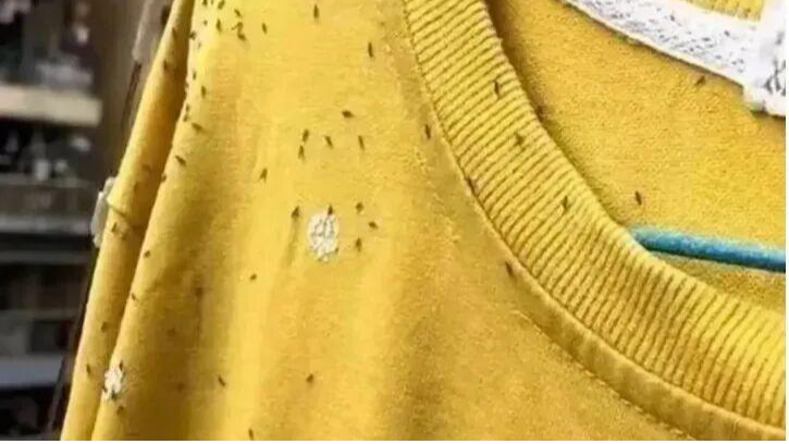 注意！最近少穿三种衣服出门