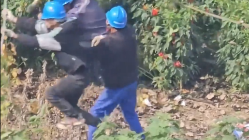工人师傅抓光缆作业被弹飞，被卡住，人都没事