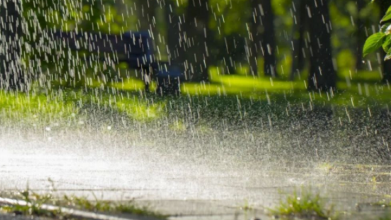 阵风7级+降温5-7℃！29日夜里至30日河南将迎降雨