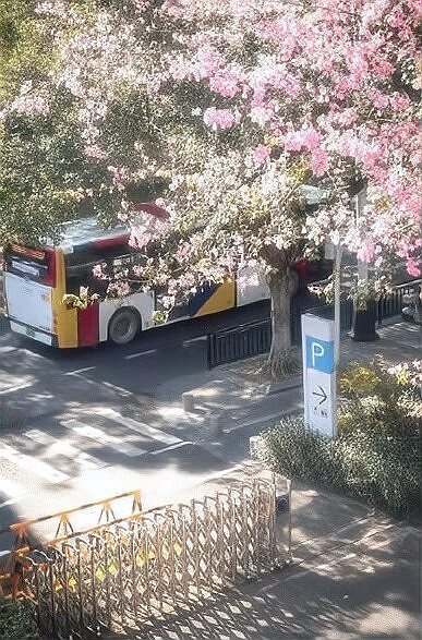 广州变首尔？韩网友搬运中国街景照片