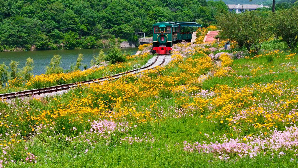 河南确山：最美四月天 相约老乐山
