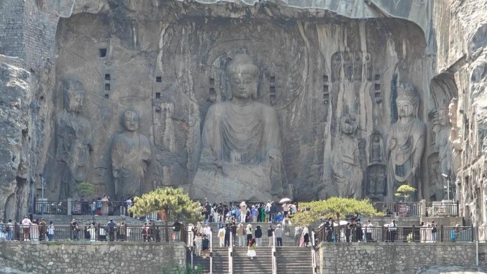 预约已满！龙门石窟、白马寺、洛阳博物馆最新发布