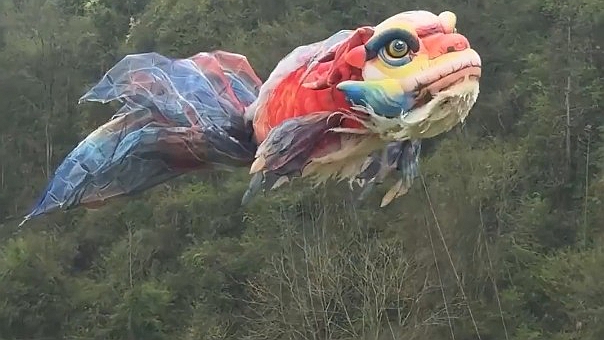 梦幻一幕！田野间邂逅非遗鳌鱼灯
