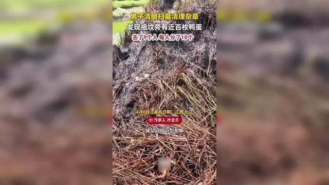 男子扫墓在祖坟旁捡近百枚鸭蛋