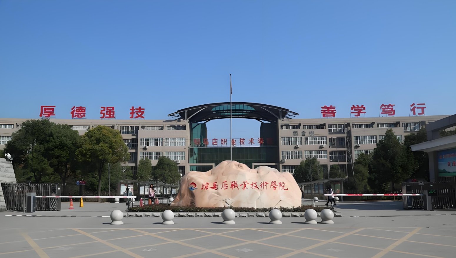 驻马店职业技术学院“四个深入”靶向发力 谱写乡村振兴新篇