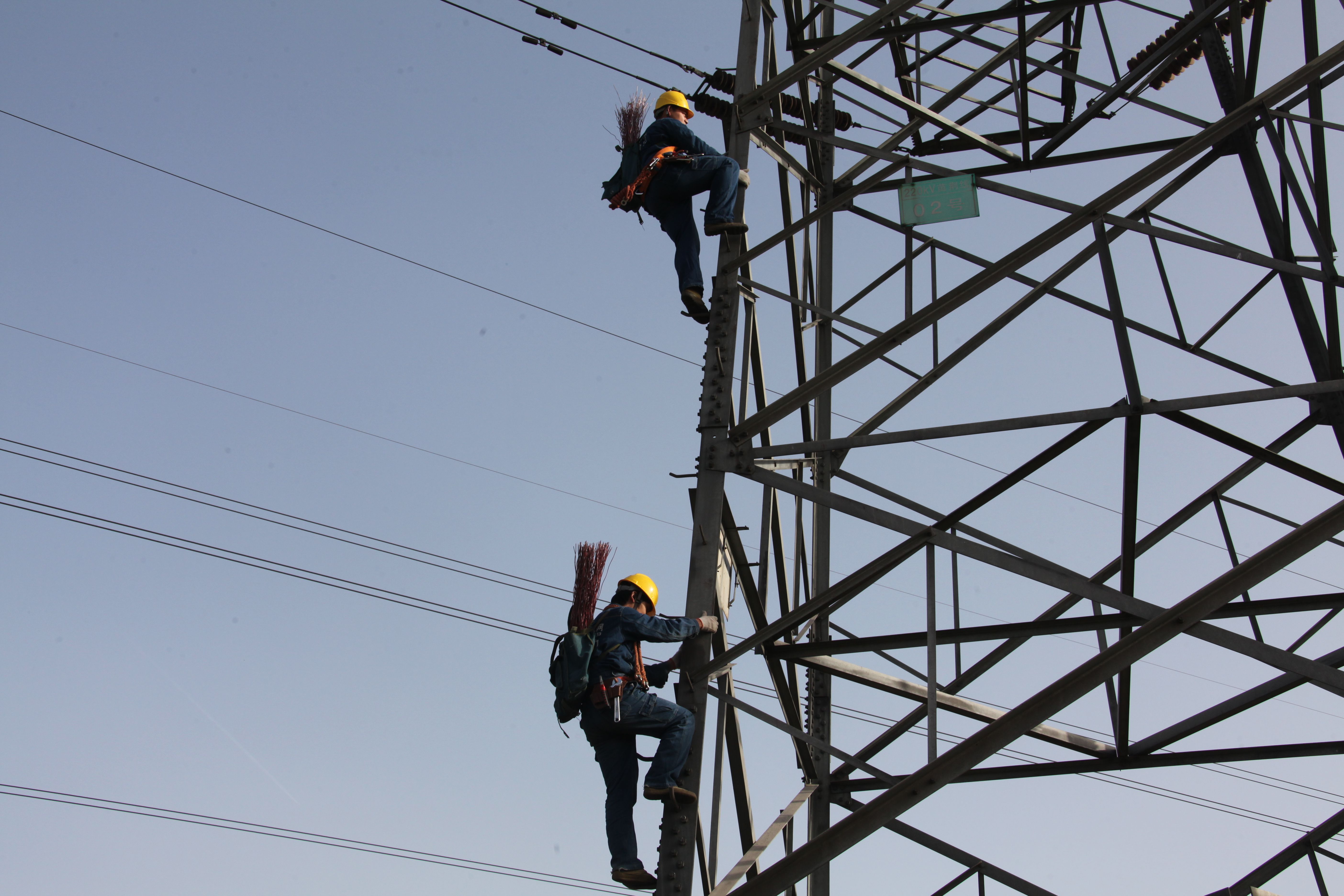 国网济源供电公司：巧筑生态防线  实现人鸟电和谐共生