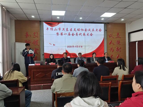 搭建新平台！平顶山市卫东区足球协会正式成立