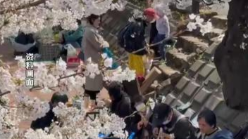 中国航司大面积取消日本航班