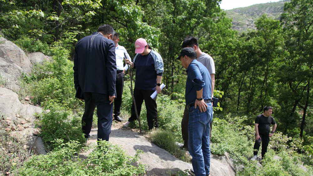 确山通过省级文物普查验收