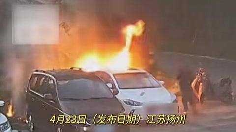 男子手欠点柳絮引燃路边小车