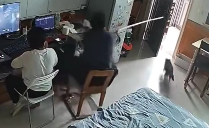 主人趁猫回屋迅速关门防止闯祸