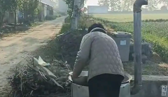 千名网友帮农户2天摘完百亩蒜苔