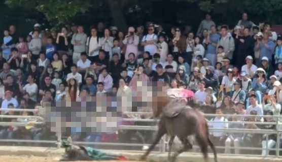 无锡三国水浒景区回应演员坠马：马摔倒致人摔落，人没大碍