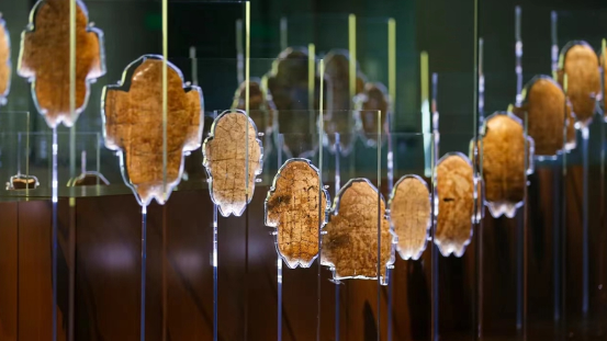 理响中国·AI说|关于殷商文化高效国际传播策略的政策建议