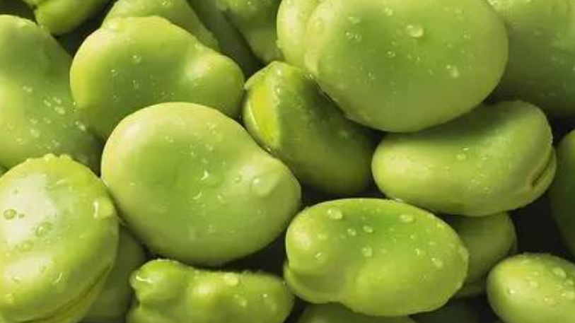 “菜市场禁剥蚕豆”热传，是怕引发蚕豆病？最新后续