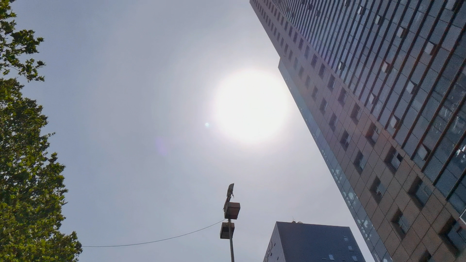 郑州未来6天“铁板烧”模式开启！最高37℃+阵风6级