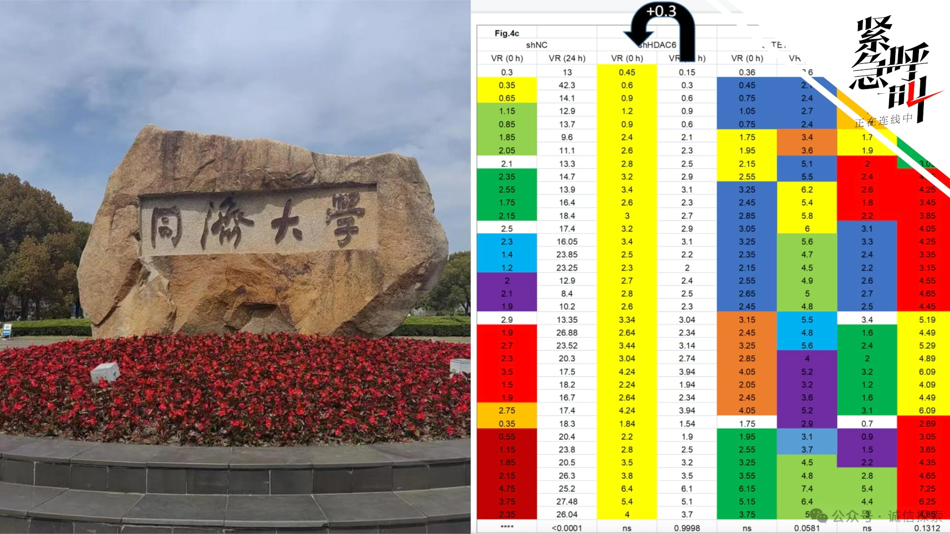 同济大学学术造假事件全揭秘