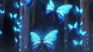 全球昆虫正以惊人速度灭绝