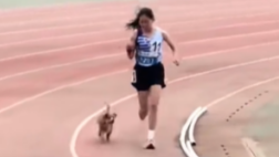 小狗化身配速员助女生破3000米纪录！谁能拒绝陪跑小狗?
