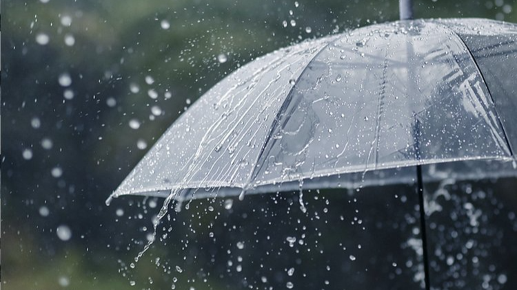 河南继续雨雨雨模式，本周末全省大部有中阵雨、局部大暴雨