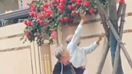 老爷爷为妻子摘花，花主人被感动，将警示牌换成“允你温柔带走”