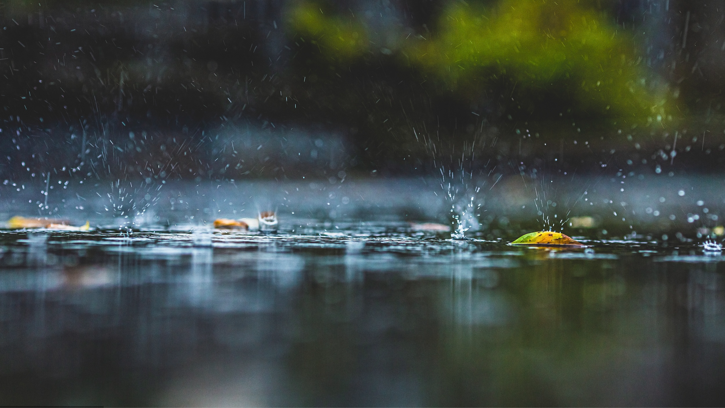 累计雨量大！对流性强！未来三天南方地区仍有较强降水