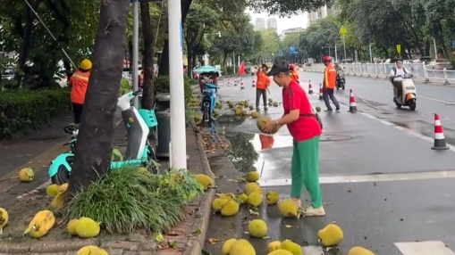 偶遇环卫摘菠萝蜜，路人围着捡跟开奖一样 网友：捡的就是氛围