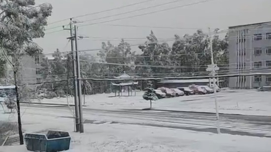 六月飞雪！内蒙古根河市突发罕见大雪 积雪最厚达5厘米