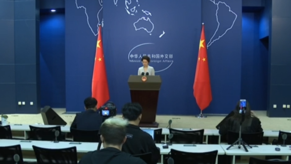 外交部：中美媒体问题的始作俑者是美方