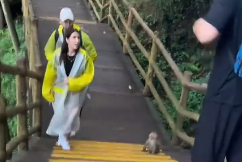 担心外国友人被猴子“打劫” 一家三口“散装英语”提醒