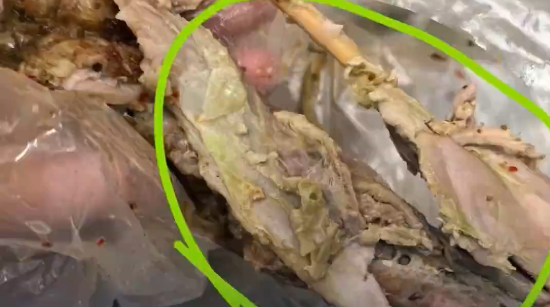 多人反映“鹅腿阿姨”卖的腿肉发绿，有学生称食用后多次腹泻