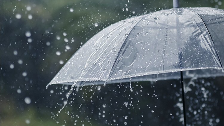 新一轮强降雨来袭！南方或将形成跨越千里的暴雨带