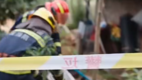 消防救援部门抓到的蛇，都去哪了？