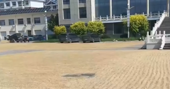 镇政府开放大院供村民晒小麦，还提供免费绿豆汤