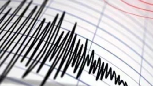 陕西渭南合阳县深夜地震 多地有震感