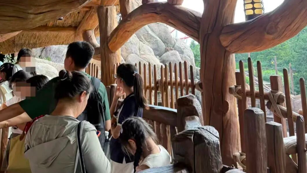 “一个项目也不开”！迪士尼早享卡游客大喊退票！最新回应