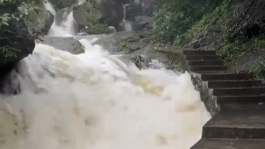 暴雨红色预警 深圳1350座公园全域临时闭园