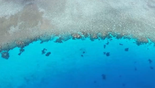 震撼！端午时节，南海之上“钢铁龙舟”守海疆