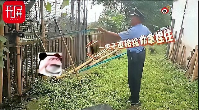 女子摘黄瓜发现“藤蔓”竟是蛇