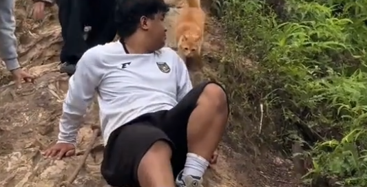 众人艰难下山，小猫如履平地！网友：四驱就是稳