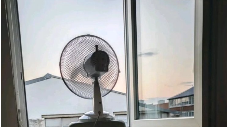 应对法国高温，华人各显神通：想抱大冬瓜睡觉，却买不到完整的