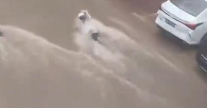 突降暴雨，女外卖员被急流冲倒，危急时刻，两车主果断拦截，众人合力救人