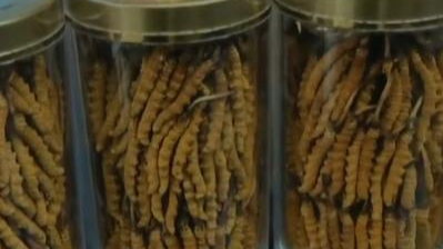 12万元虫草寄丢快递只愿赔105元 后来提升到3万