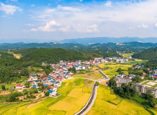 理响中国·AI说|高效能治理赋能河南乡村人才回流培育