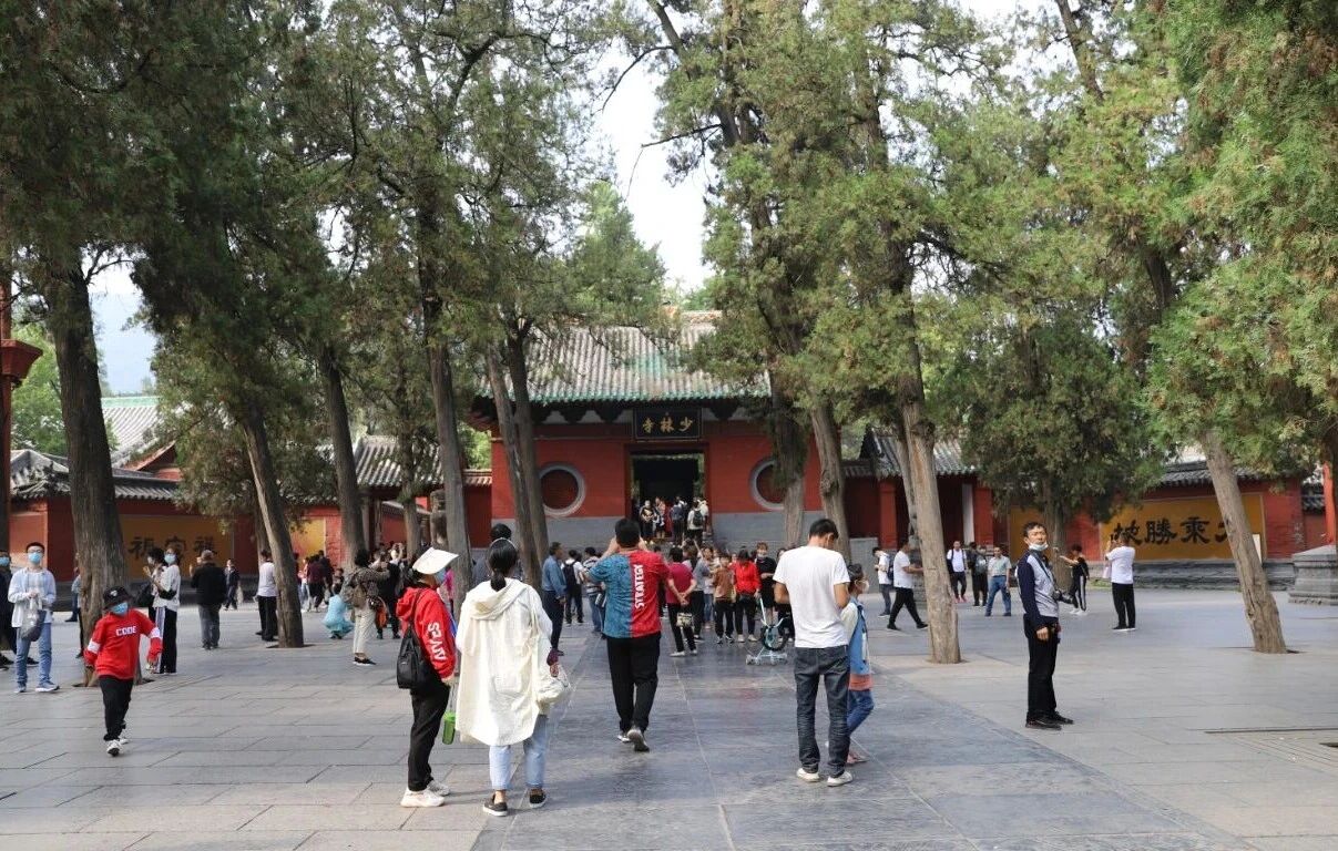 利好来袭！少林景区门票可以报销了！