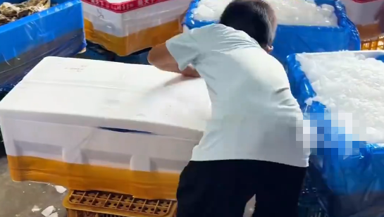 满级暑假工已上线，11岁男孩帮家里打包生蚝一气呵成