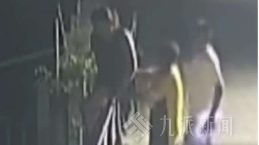 女子凌晨欲轻生被残疾小哥死死拉住