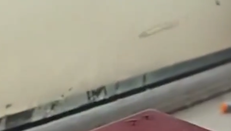 沈阳暴雨院子变鱼塘，市民隔窗看鱼