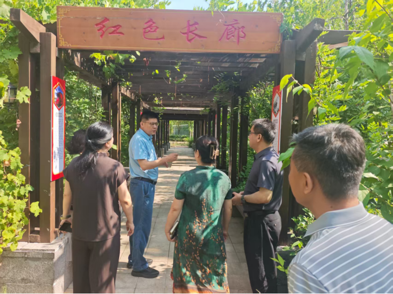 乡村学校向何处发展？省“绿健”专家组给出指导建议